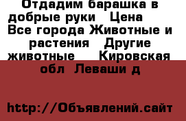 Отдадим барашка в добрые руки › Цена ­ 1 - Все города Животные и растения » Другие животные   . Кировская обл.,Леваши д.